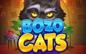 Bozo Cats